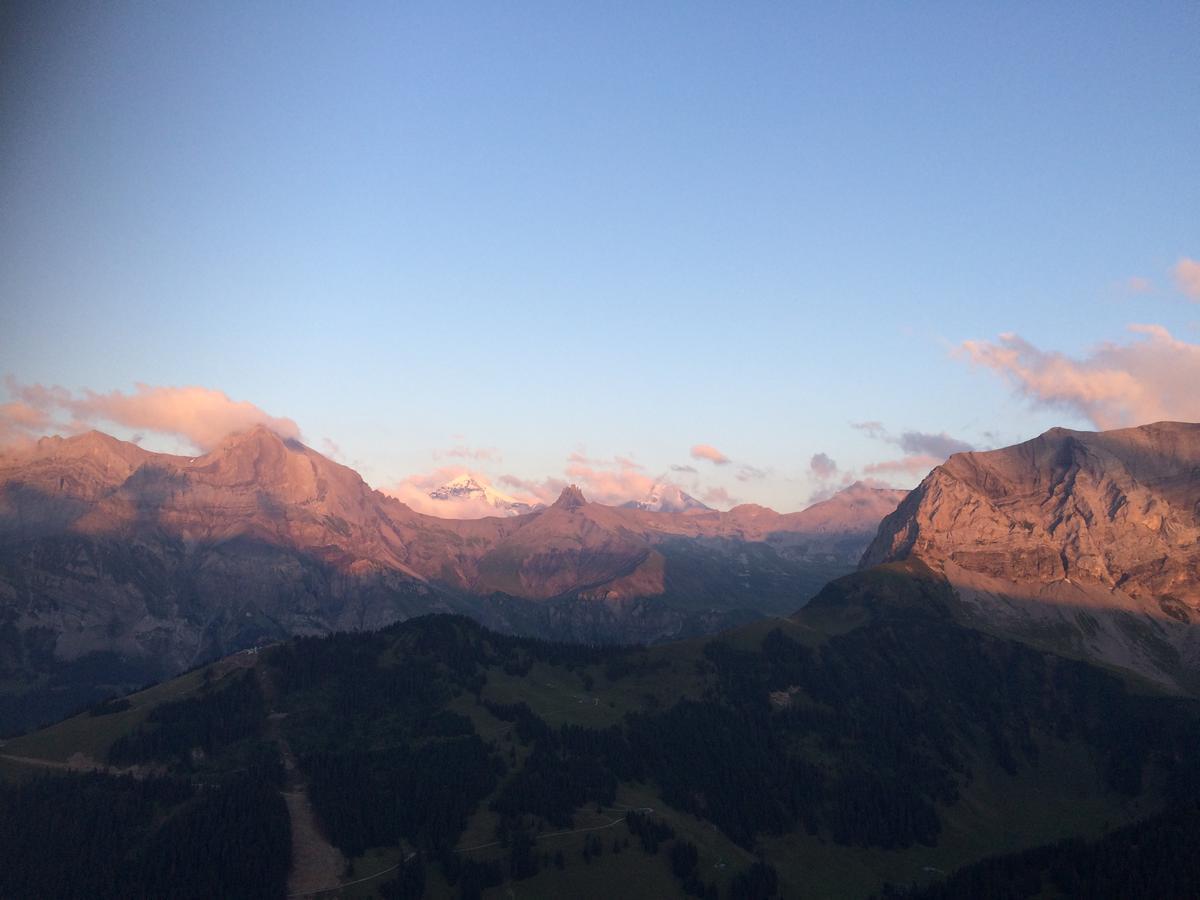 Apartamento Bergdohle Adelboden Exterior foto