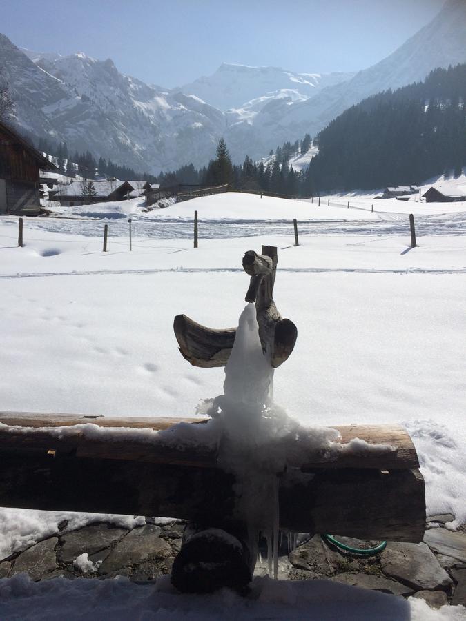Apartamento Bergdohle Adelboden Exterior foto