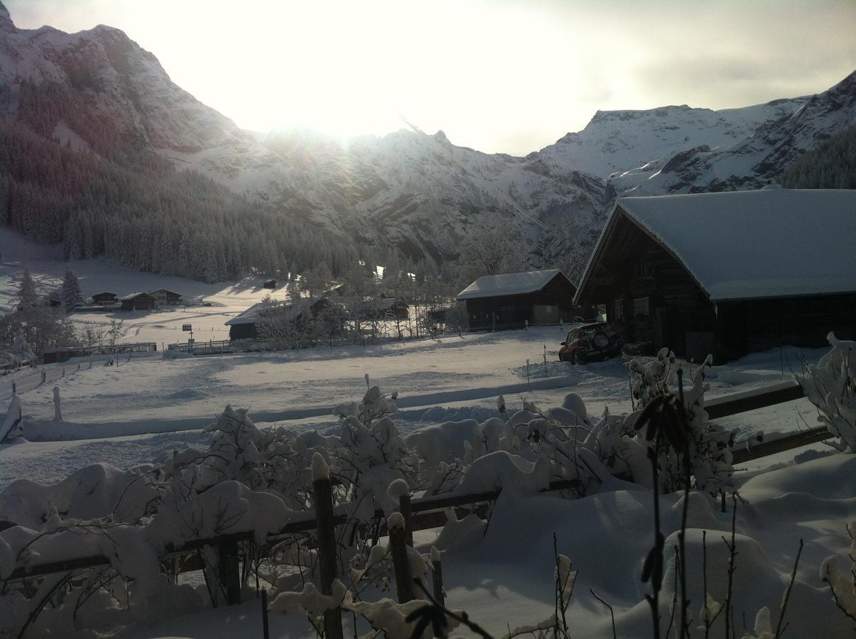 Apartamento Bergdohle Adelboden Exterior foto