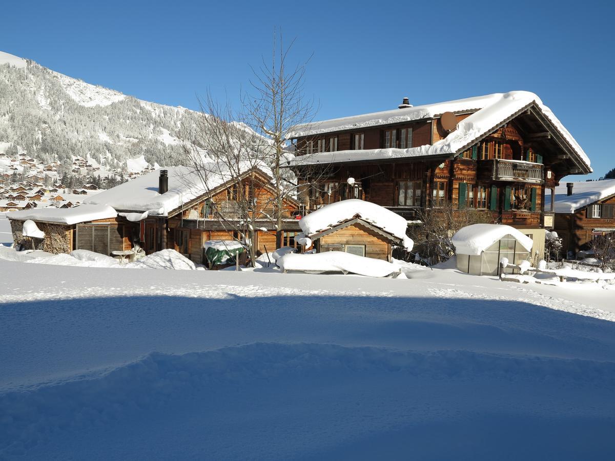 Apartamento Bergdohle Adelboden Exterior foto